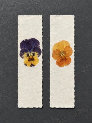 Two bookmarks with a pressed purple pansy and an orange viola